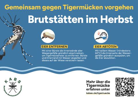 Gemeinsam gegen Tigermücken