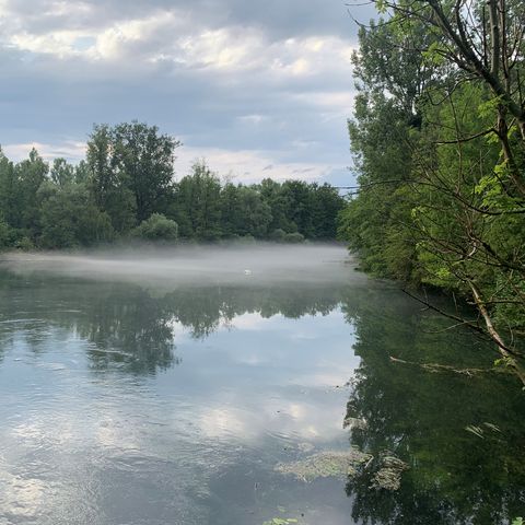 Morgenstimmung am Groschenwasser
