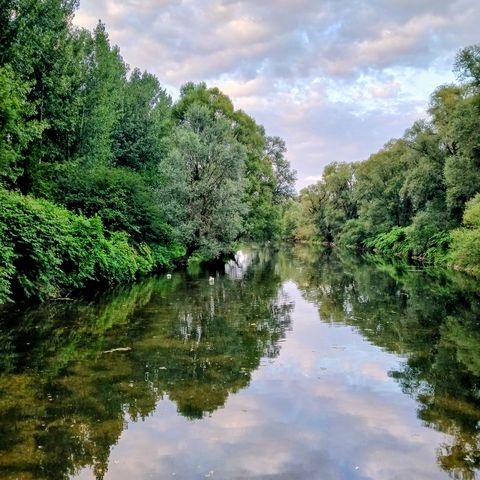 Abendstimmung an der Rench in Helmlingen