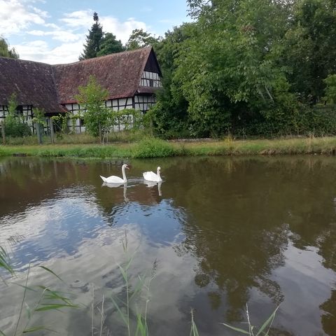 Alte Mühle in Memprechtshofen 