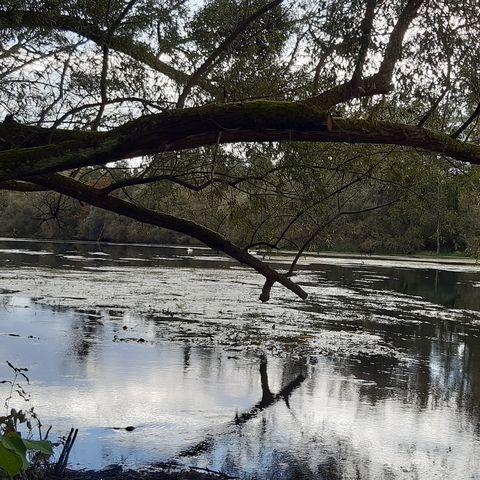 Auf dem Sagenwanderweg in Diersheim 