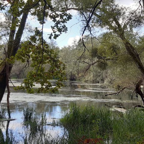 Sagenwanderweg Diersheim
