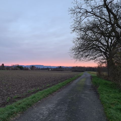 Richtung Honau